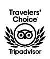 traveler choice award